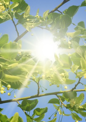 Plan forte chaleur et pics d’ozone : phase d’avertissement